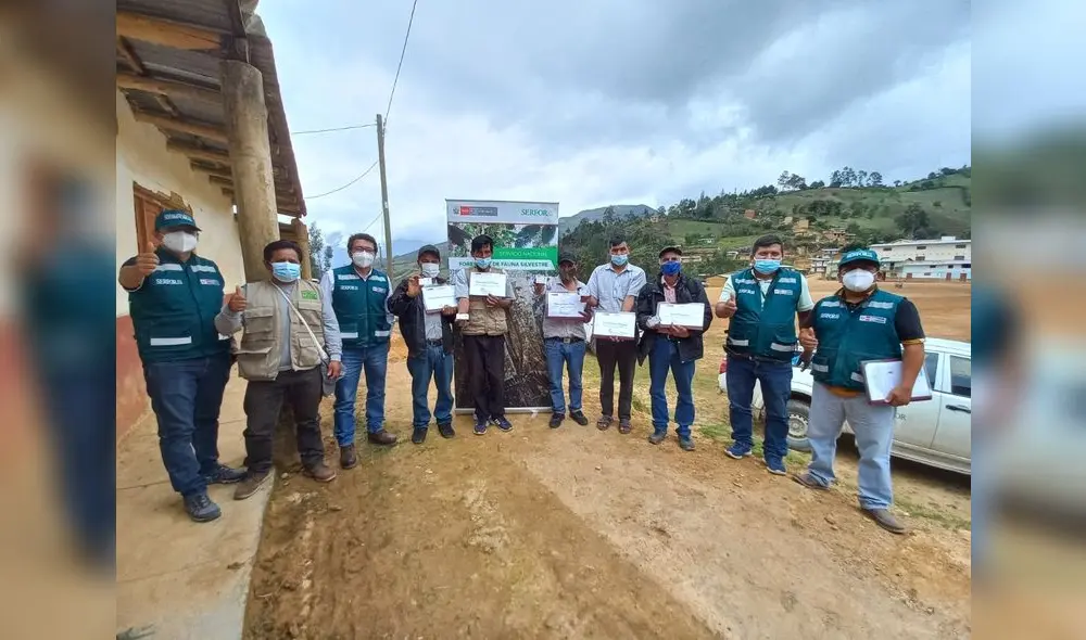 se busca apoyar la protección del patrimonio forestal y de fauna silvestre. Foto: Serfor