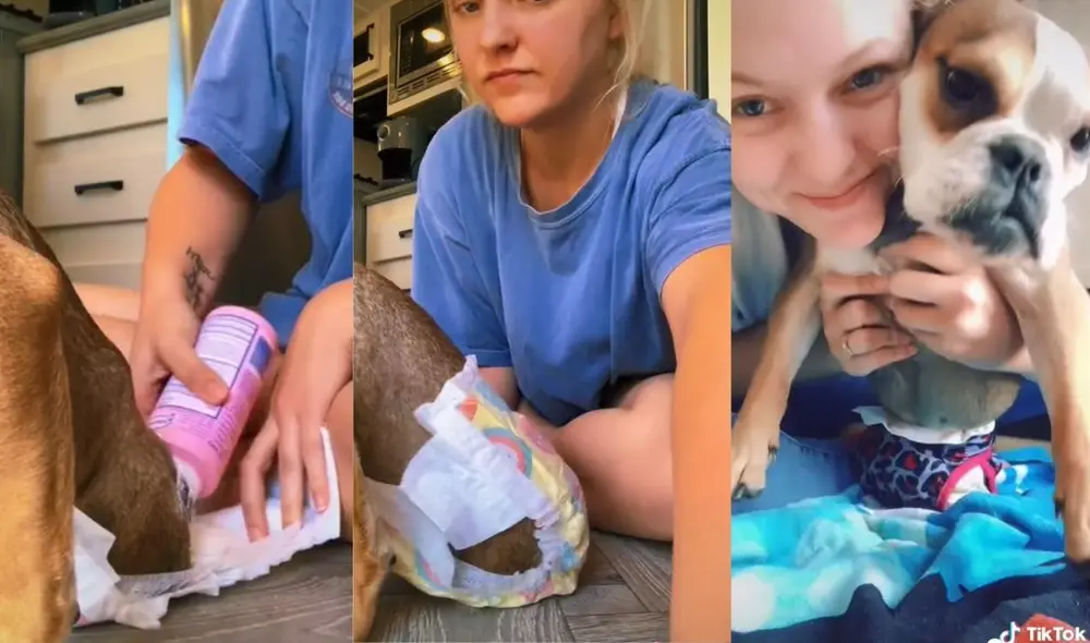 Los usuarios en la red admiraron el cuidado y atención que la joven le suele dar a su mascota discapacitada. Foto: captura de TikTok