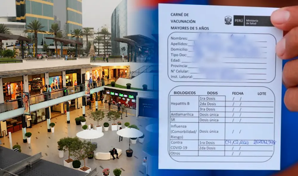 Los ciudadanos mayores de 18 años tendrán que presentar su carnet físico o digital para entrar a lugares cerrados. Foto: composición LR/Fabrizio Oviedo