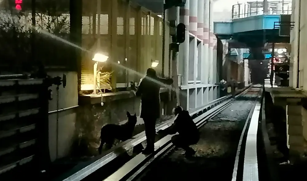 El perro fue encontrado en la Línea 2 del Metro de la CDMX. Foto: Twitter/MetroCDMX