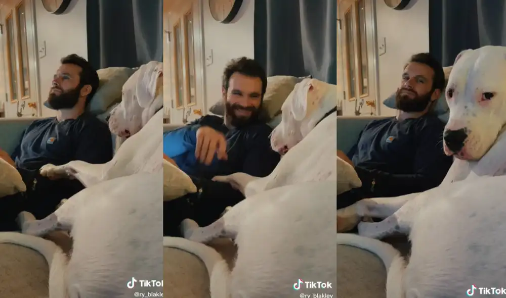 El dueño de Otis se percató del comportamiento de su mascota y no pudo evitar reírse ante la situación. Foto: captura de TikTok
