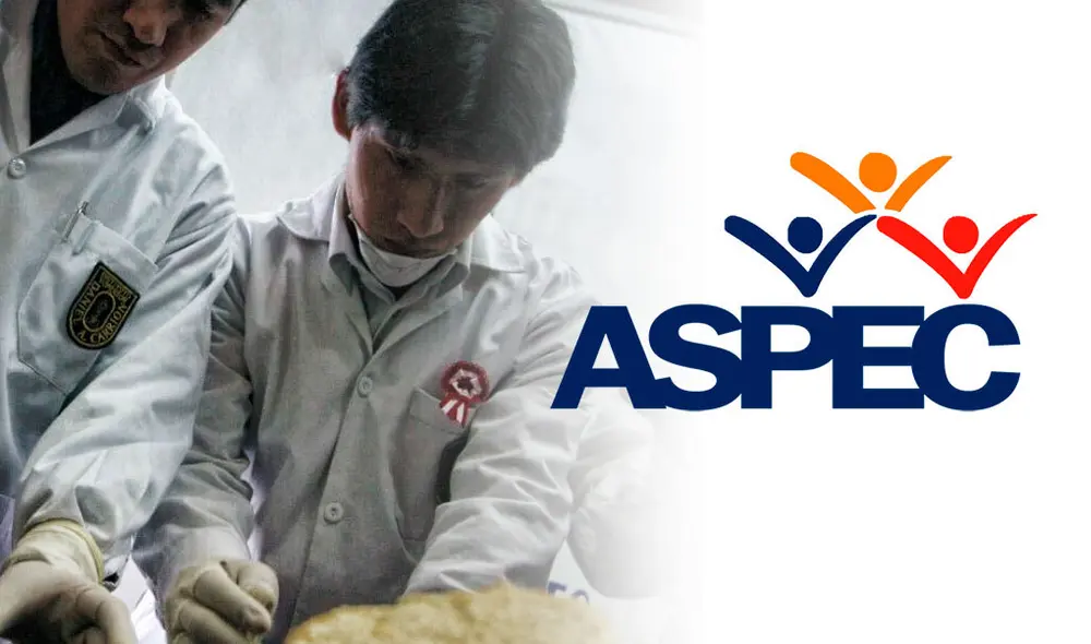 La ASPEC se pronunció sobre la ordenanza impuesta a las empresas: Bimbo, marca Bell´s y Frito Lay. Foto: composición LR/Gerson Cardoso