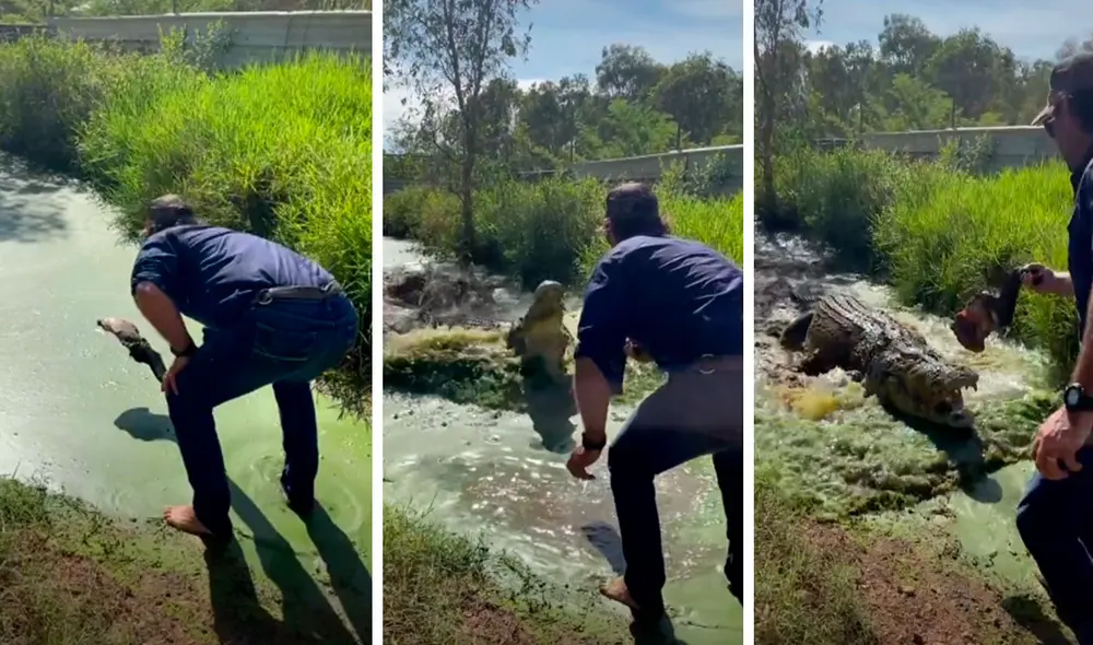 Un video reveló el preciso momento en que un cocodrilo salió de su escondite dentro del agua para devorar en segundos su comida. Foto: captura de YouTube