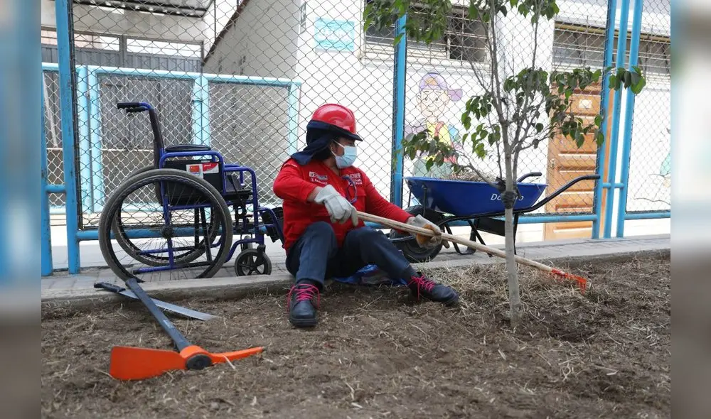 Contribuyen con la inclusión social, el desarrollo y bienestar de las personas con discapacidad. Foto: MTPE Contribuyen con la inclusión social, el desarrollo y bienestar de las personas con discapacidad. Foto: MTPE