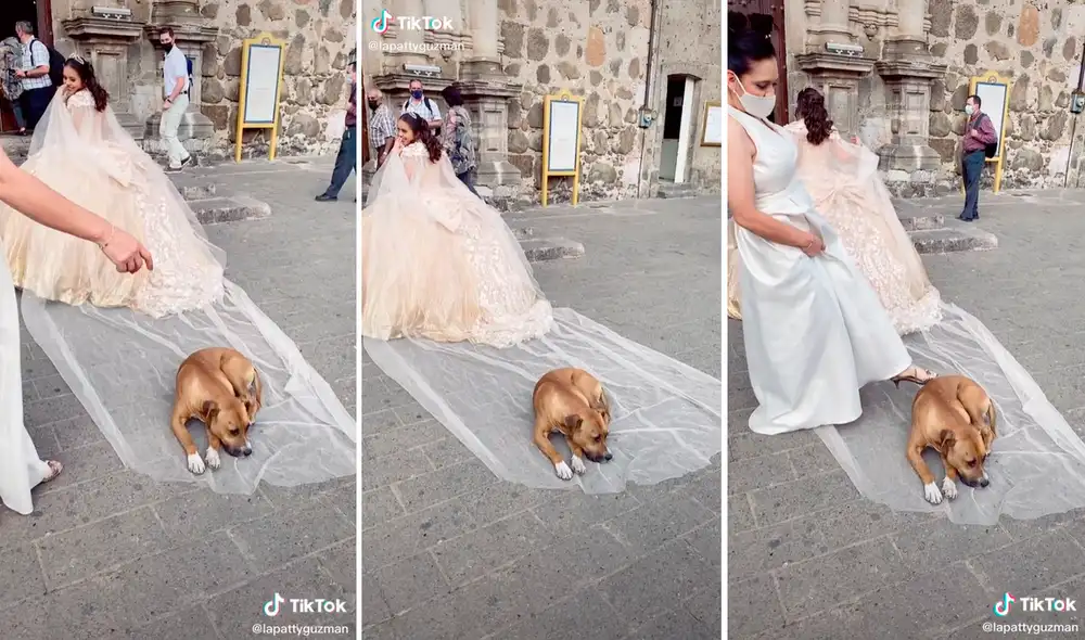 El perrito no encontró mejor lugar que acostarse en la cola del vestido de la novia. Foto: captura de TikTok El perrito no encontró mejor lugar que acostarse en la cola del vestido de la novia. Foto: captura de TikTok