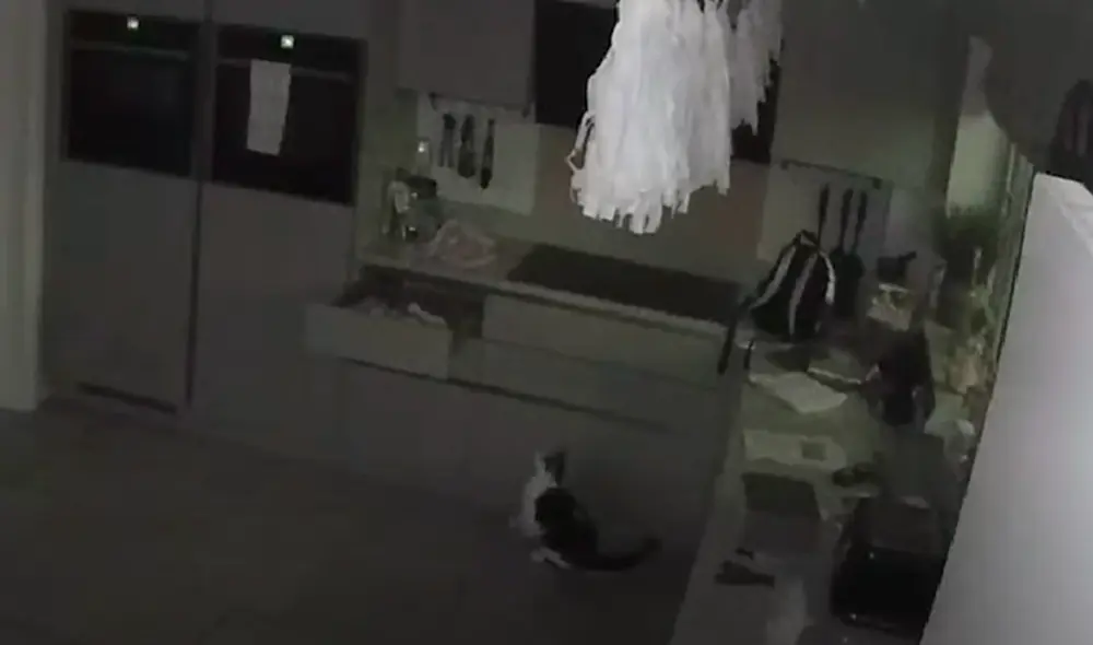 El video ha sido compartido en el canal Ring. Foto: captura de YouTube El video ha sido compartido en el canal Ring. Foto: captura de YouTube