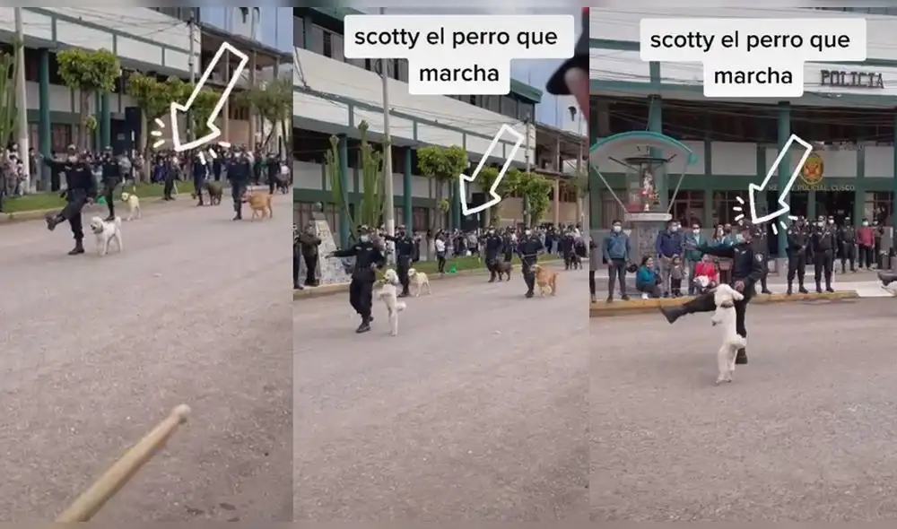 Video fue compartido por el usuario de TikTok @elgranscotty. Foto: captura de TikTok Video fue compartido por el usuario de TikTok @elgranscotty. Foto: captura de TikTok