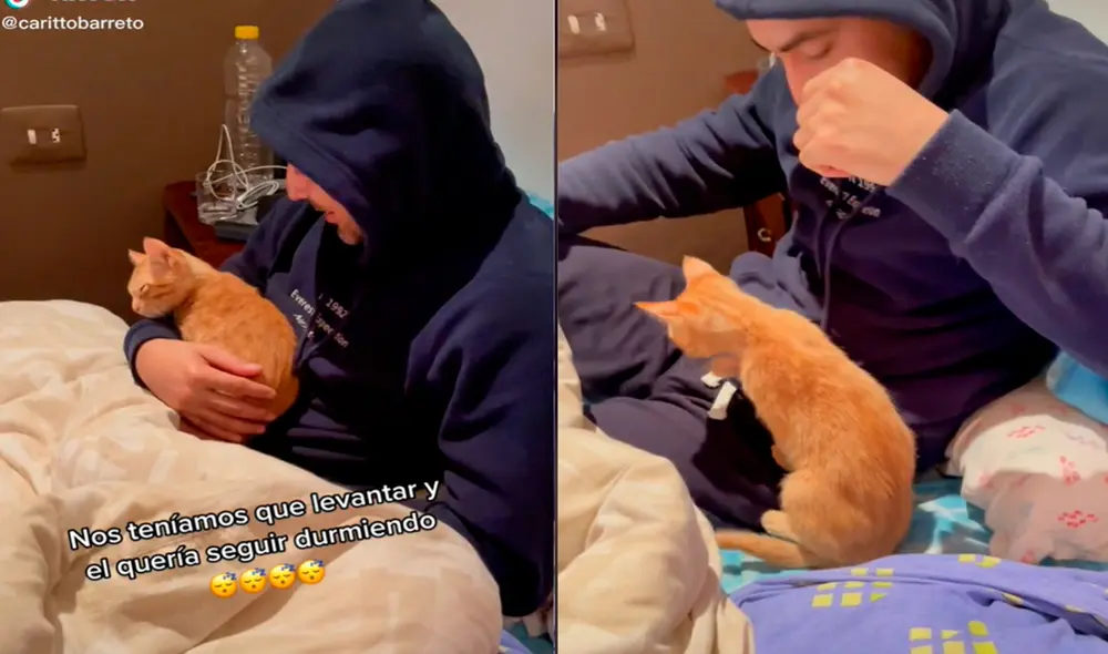 El minino sorprendió a su dueño, quien no se movió de la cama para que su engreído disfrute dormir más tiempo. Foto: captura de TikTok El minino sorprendió a su dueño, quien no se movió de la cama para que su engreído disfrute dormir más tiempo. Foto: captura de TikTok