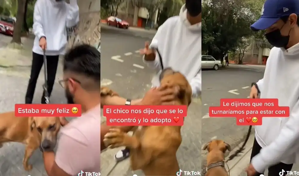 Las imágenes dejaron cautivados a los usuarios, quienes felicitaron la decisión del joven por dejar un tiempo al perro con su otro dueño. Foto: captura de TikTok Las imágenes dejaron cautivados a los usuarios, quienes felicitaron la decisión del joven por dejar un tiempo al perro con su otro dueño. Foto: captura de TikTok