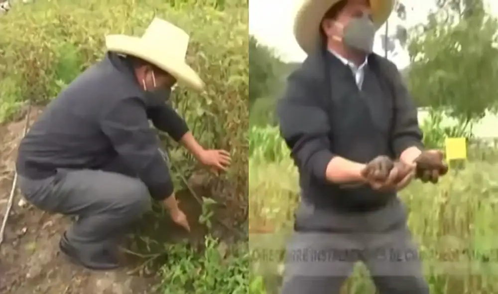 Presidente Pedro Castillo realizó un recorrido a la ciudadela Virgen de Vidawasi de Cusco este sábado en horas de la mañana. Foto: captura/TV Perú