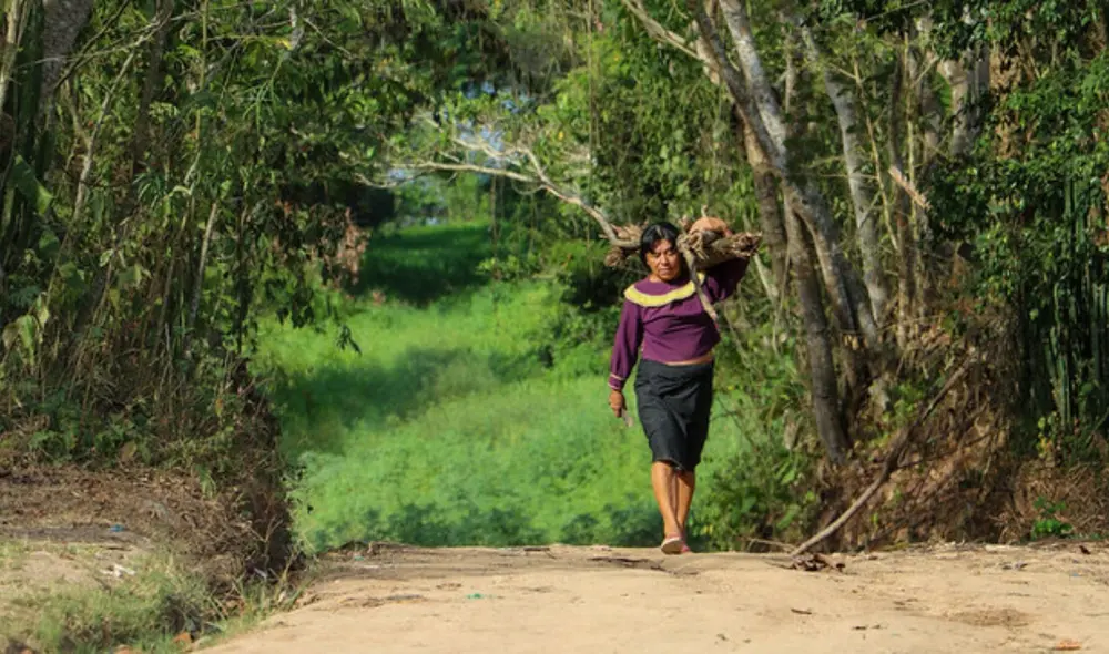 Un estudio revela que el 50% de permisos forestales otorgados a comunidades no especifica la participación de un tercero. Foto: Osinfor
