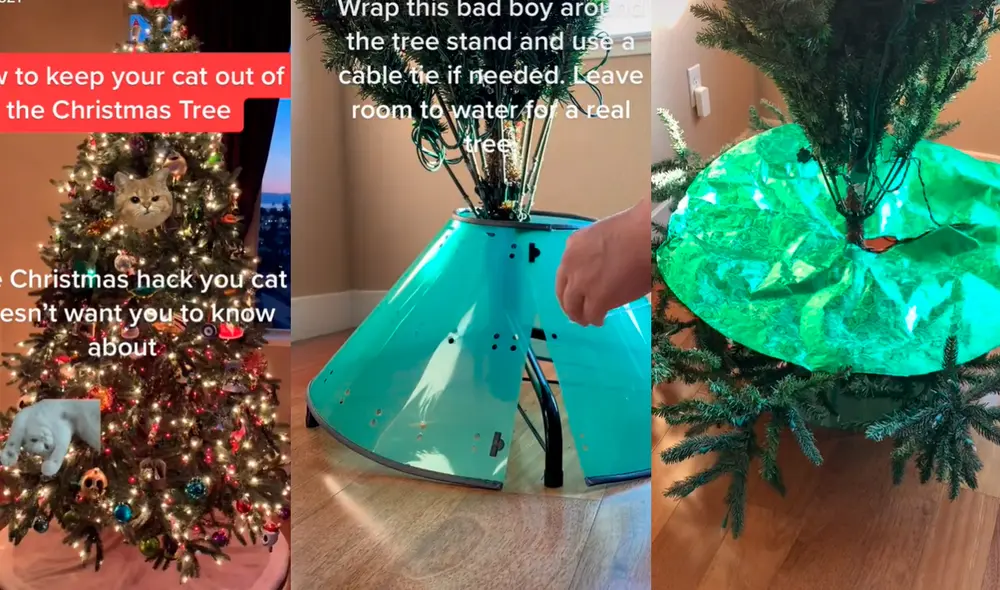 La curiosa estrategia ha llamado la atención de los cibernautas, quienes han tomado en consideración los tips para alejar a su engreídos de los árboles navideños. Fotos: captura de TikTok La curiosa estrategia ha llamado la atención de los cibernautas, quienes han tomado en consideración los tips para alejar a su engreídos de los árboles navideños. Fotos: captura de TikTok