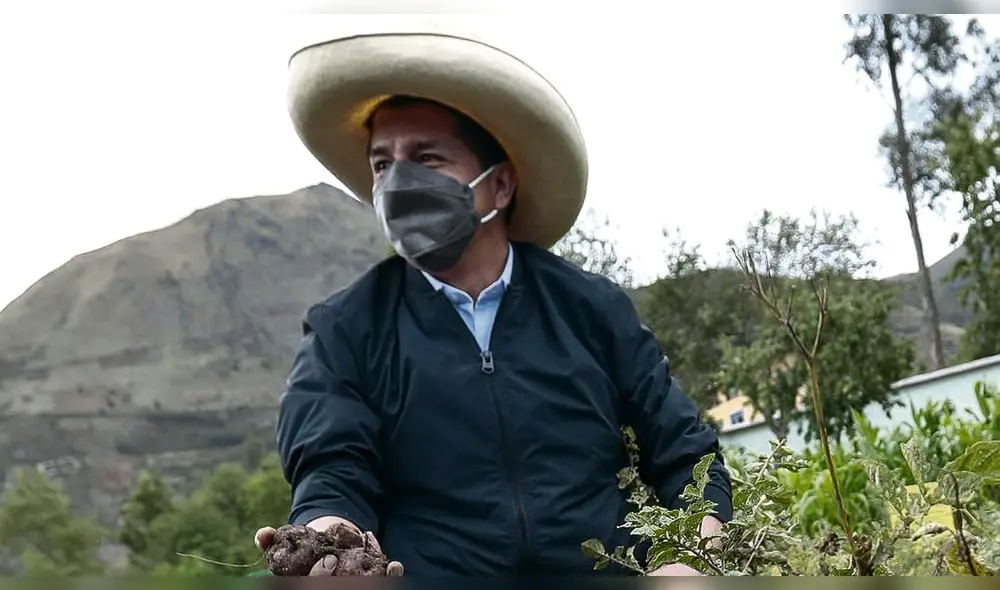 Cosecha. El presidente en el biohuerto de Vida Wasi en Cusco. Se le vienen días complicados.