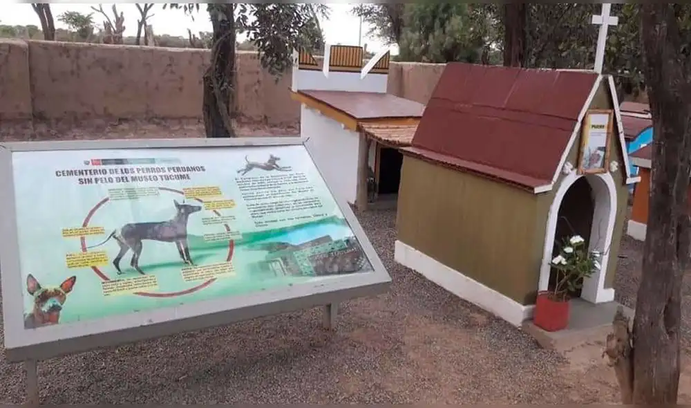 Cementerio alberga los restos de canes sin pelo. Foto: Ministerio de Cultura