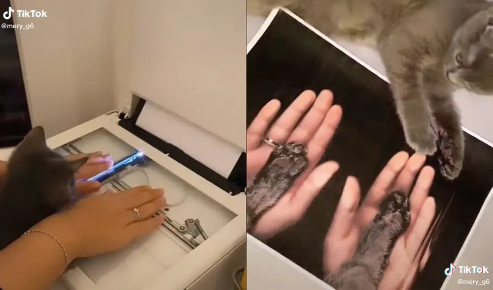La mujer toma de las patas a su gato y gracias a la impresora, graba una imagen de ella y su mascota. Foto: captura de TikTok