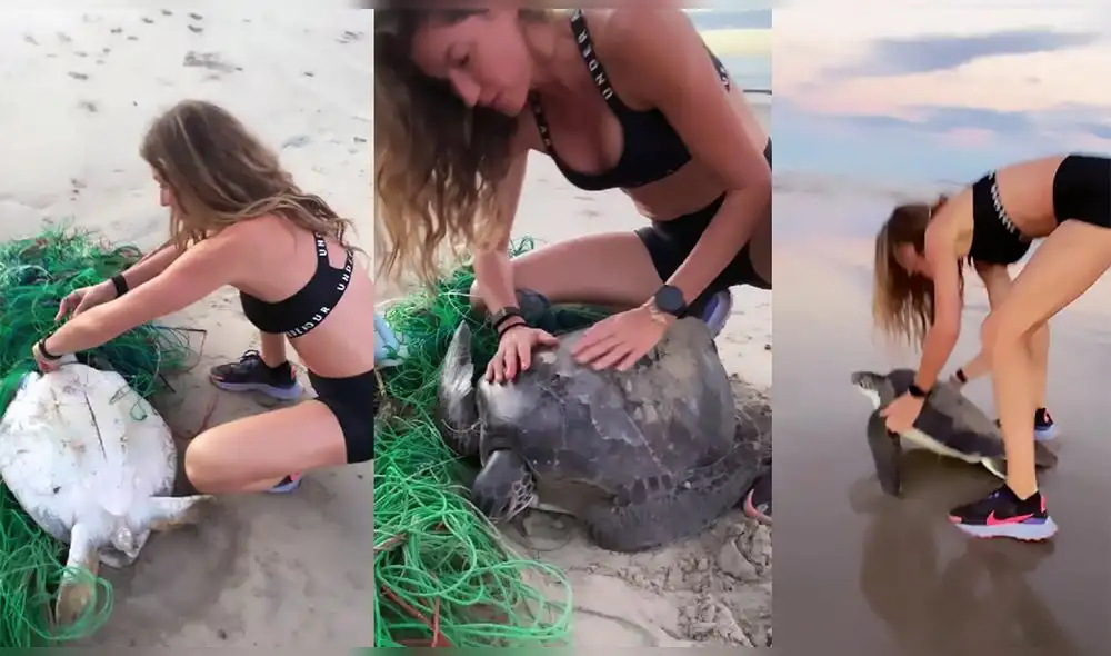 Famosos como Heidi Klum, Gigi Hadid y Gal Gadot reaccionaron en los comentarios. Foto: captura de Instagram