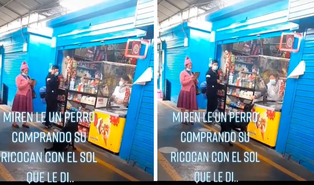 El perrito tranquilamente se acercó al puesto de abarrotes para comprar sus sabrosas galletas. Foto: captura de TikTok El perrito tranquilamente se acercó al puesto de abarrotes para comprar sus sabrosas galletas. Foto: captura de TikTok