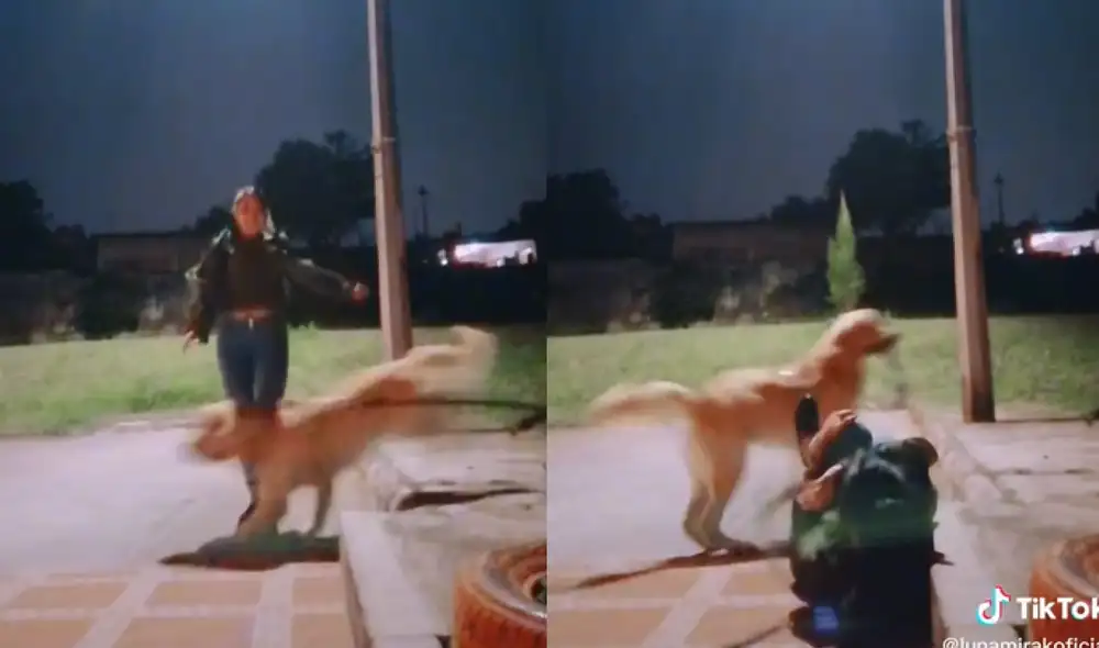 La muchacha perdió el equilibrio cuando el perrito se cruzo en su camino e hizo que se cayera al piso. Foto: captura de TikTok