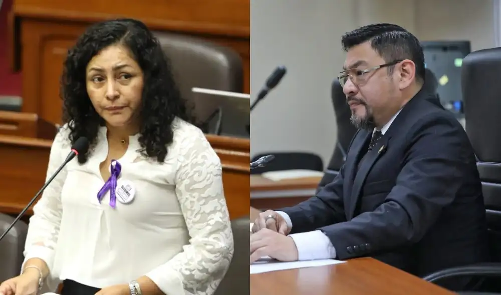 “El reglamento es bastante claro, las investigaciones se realizan justamente a los congresistas que ya están en función", sostuvo la acciopopulista Karol Paredes. Foto: composición/Congreso