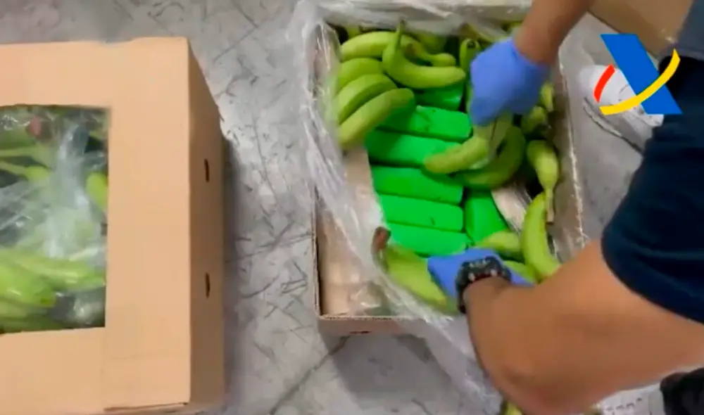 La organización disponía de diversas empresas con las que hacía importaciones de mercancía legal desde Sudamérica. Foto: captura video/Policía de España