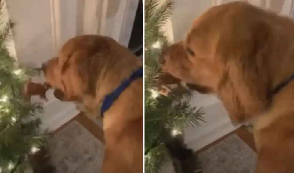 El clip ya ha conseguido miles de likes y comentarios en la plataforma. Foto: captura de YouTube El clip ya ha conseguido miles de likes y comentarios en la plataforma. Foto: captura de YouTube