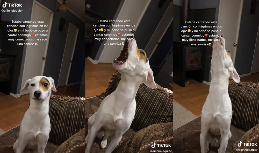 El contenido multimedia viene acompañado de una descripción. Foto: captura de TikTok