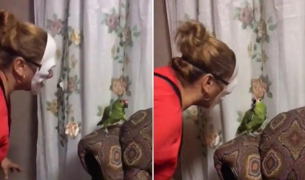 La joven usuaria expresó que no esperaba esa reacción de su mascota, pero que ella se encontraba bien y muy consentida a raíz de la 'broma'. Foto: captura de TikTok