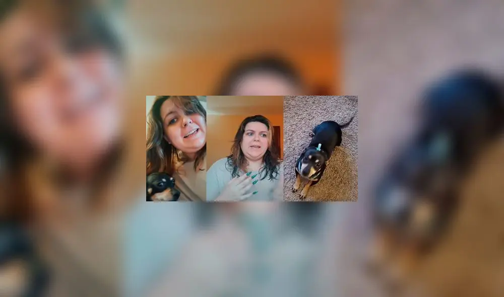 El divertido video alcanzó los 4 millones de reproducciones. Foto: captura de TikTok El divertido video alcanzó los 4 millones de reproducciones. Foto: captura de TikTok