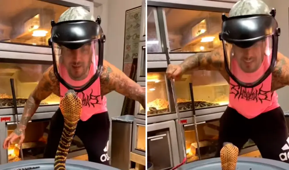 El video viral ha sido publicado en Tyler Nolan. Foto: captura de YouTube