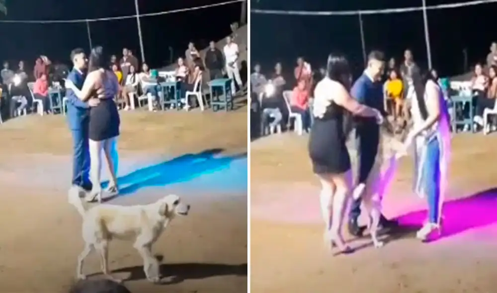 Un joven llevó a su querida mascota al lugar donde iba a realizar una fiesta por su día especial para que le hiciera compañía, pero nada resultó a lo planeado. Foto: captura de Facebook