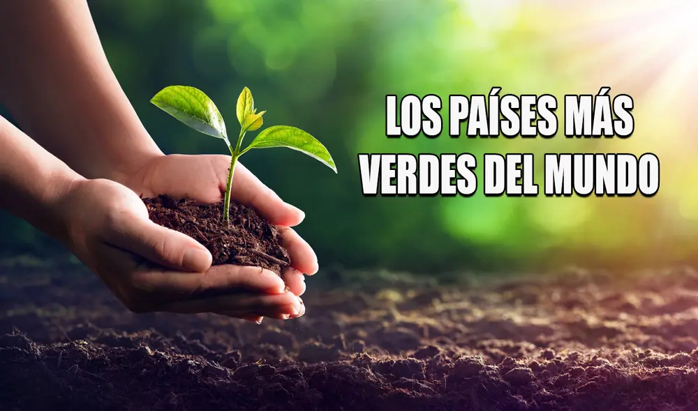 Un país verde contribuye al cuidado del medioambiente. Foto: composición/ecología verde
