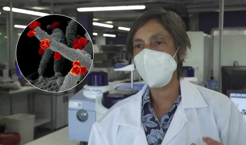 Ómicron se ha sumado a la lista de variantes de preocupación de la OMS. Foto: composición / AFP / NIAID