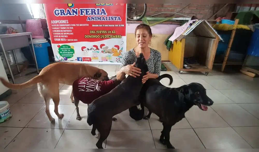 La feria de Navidad Peluda inició desde hace unos 6 años, y ha ayudado a más de 20.000 mascotas. Foto: Grace Mora / URPI-LR La feria de Navidad Peluda inició desde hace unos 6 años, y ha ayudado a más de 20.000 mascotas. Foto: Grace Mora / URPI-LR