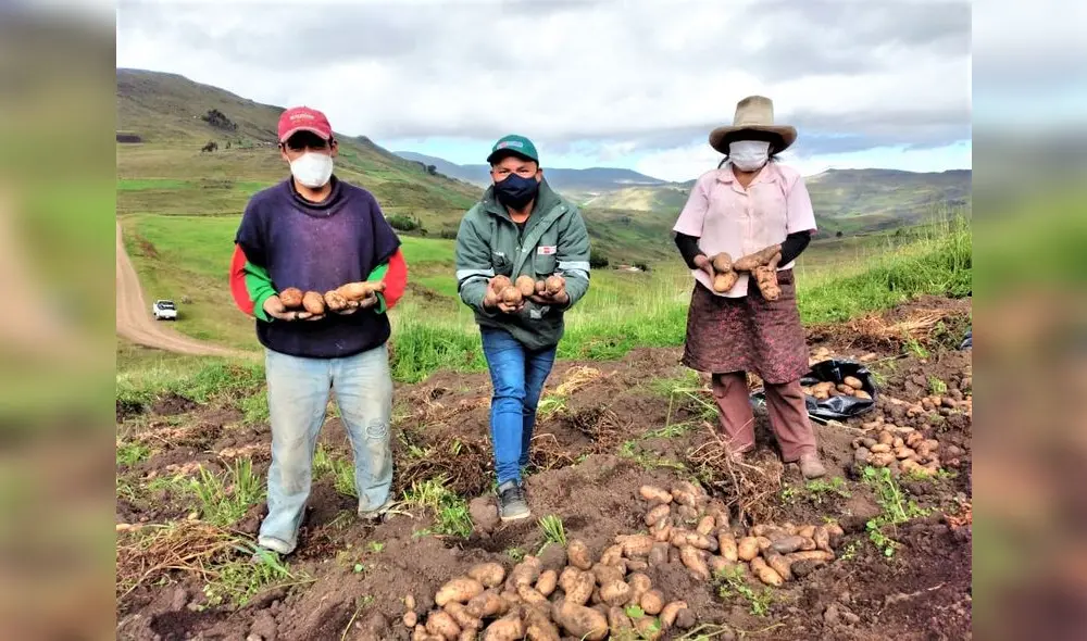 Miles de campesinos recibirán capacitación para mejorar producción. Foto: GRLL Miles de campesinos recibirán capacitación para mejorar producción. Foto: GRLL