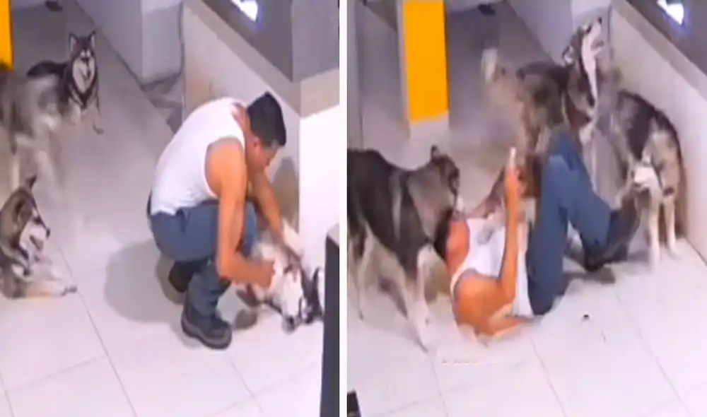 Un hombre terminó en el suelo a consecuencia de que sus mascotas se abalanzaron en su encima para salvar a su ‘amigo’ que no quería tomar su jarabe. Foto: captura de YouTube