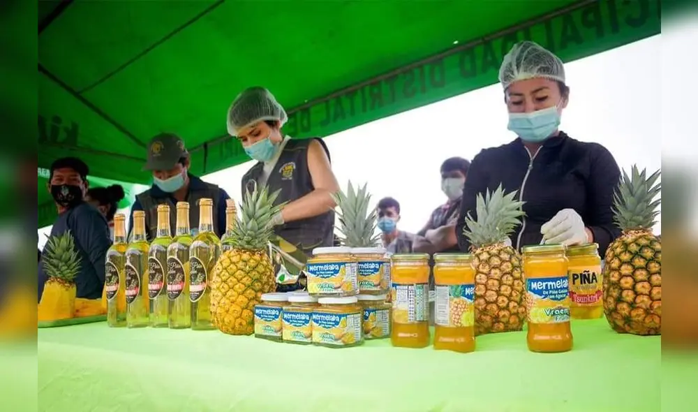 Entidad busca potenciar la producción de este fruto en 100 hectáreas de cultivo. Foto: Devida