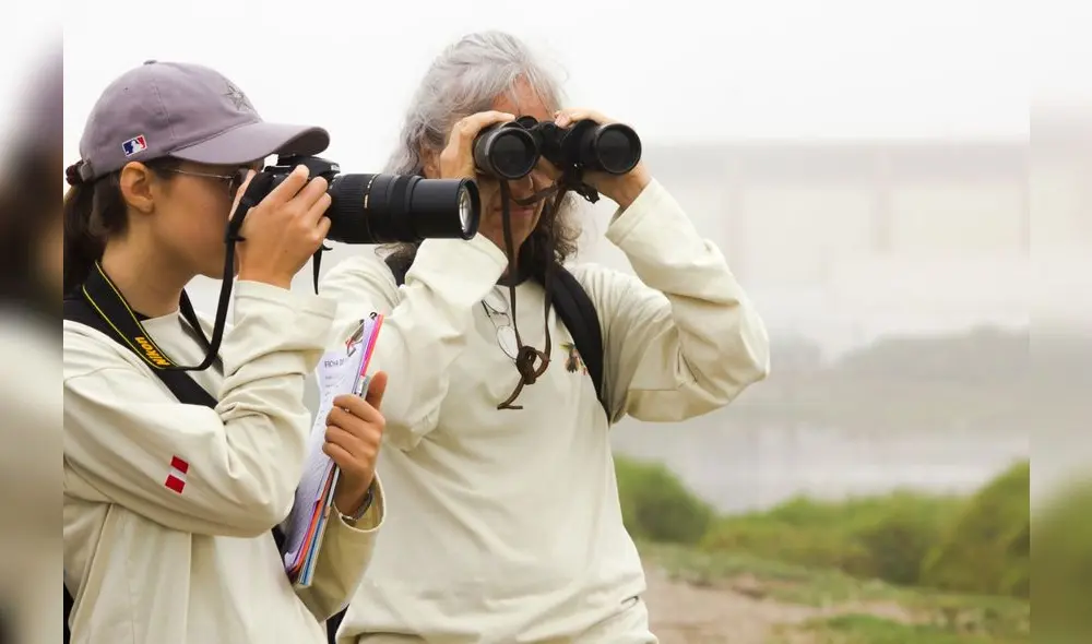 Las personas pueden adoptar y proteger un árbol online. Foto: difusión Las personas pueden adoptar y proteger un árbol online. Foto: difusión