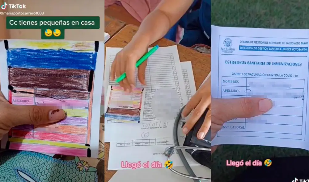 La divertida experiencia fue compartida por la usuaria @mariaportocarrero1608, quien finalmente no pudo tener como recuerdo el carnet de vacunación coloreado. Foto: captura de TikTok