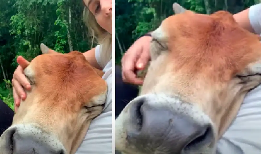 El video ha sido compartido en el canal BVIRAL. Foto: captura de Facebook