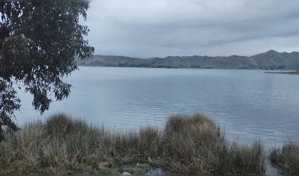 Autoridad cayó a las gélidas aguas de la laguna situada en Acomayo. Foto: PNP