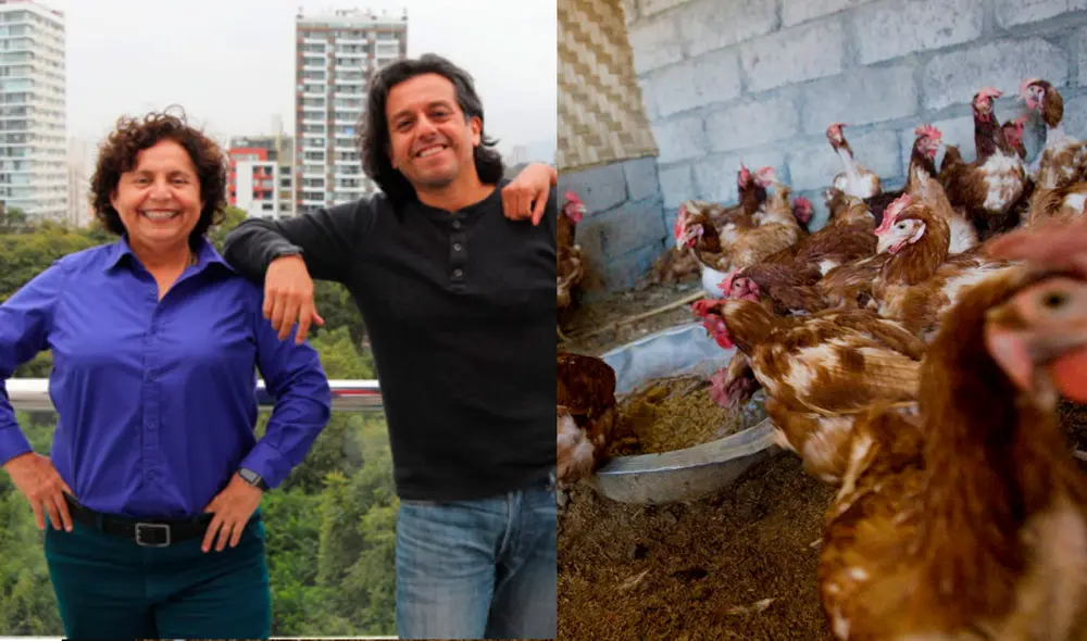 El proyecto de ley recoge en gran medida la propuesta de la organización sin fines de lucro ARBA, que busca promover la solidaridad con toda forma de vida. Foto: composición La República El proyecto de ley recoge en gran medida la propuesta de la organización sin fines de lucro ARBA, que busca promover la solidaridad con toda forma de vida. Foto: composición La República