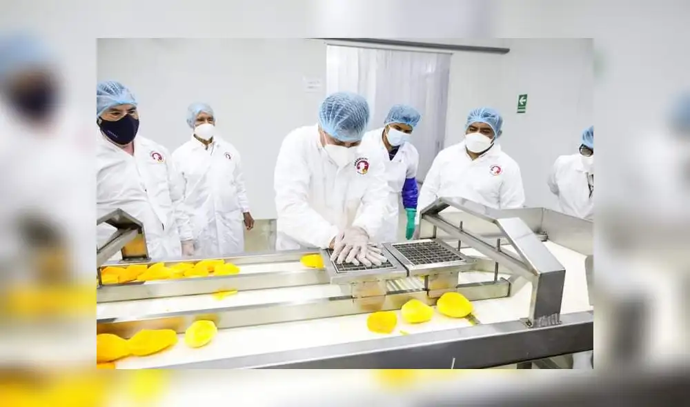 El Midagri apoyó el proyecto para mejorar la economía. Foto: Midagri