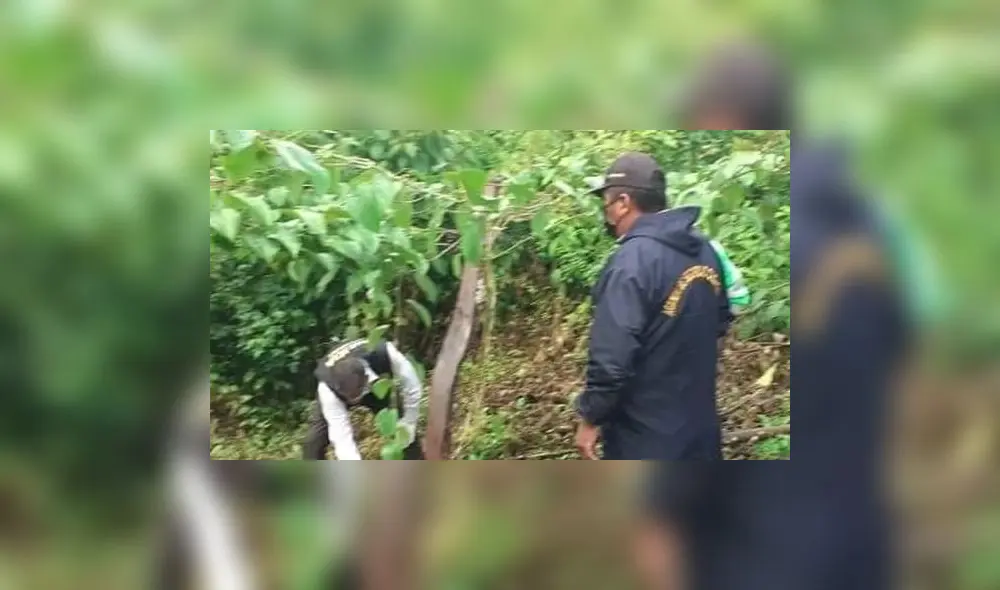 PNP se encuentra realizando las investigaciones del caso. Foto: captura / América Noticias