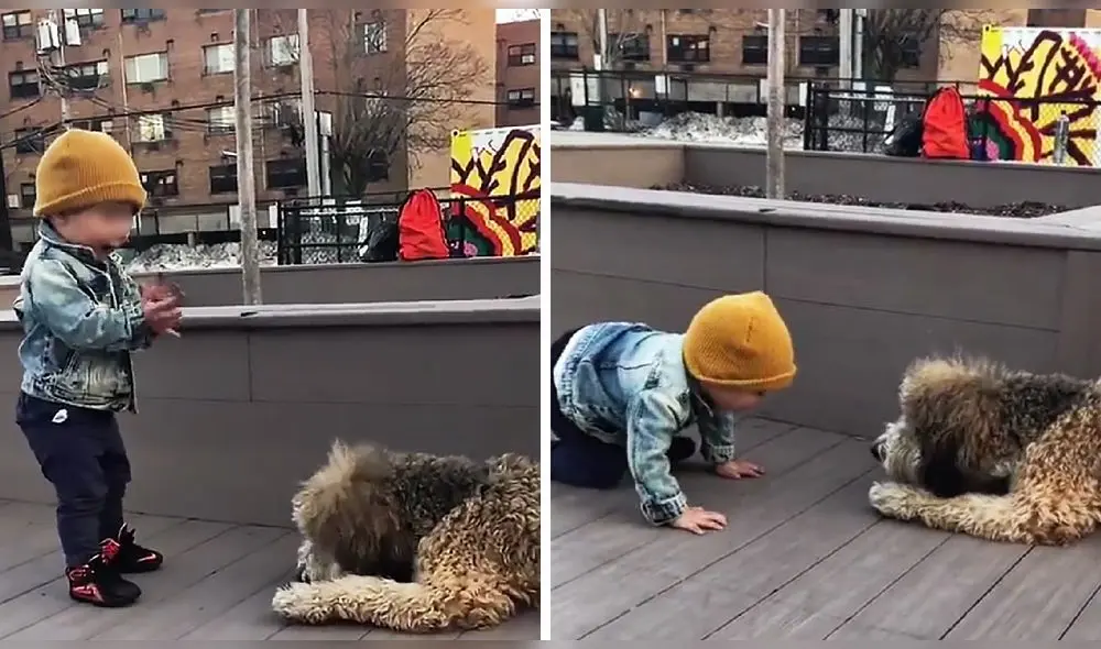 Video ha conseguido más de 71.100 visualizaciones en la red social. Foto: captura de Twitter Video ha conseguido más de 71.100 visualizaciones en la red social. Foto: captura de Twitter