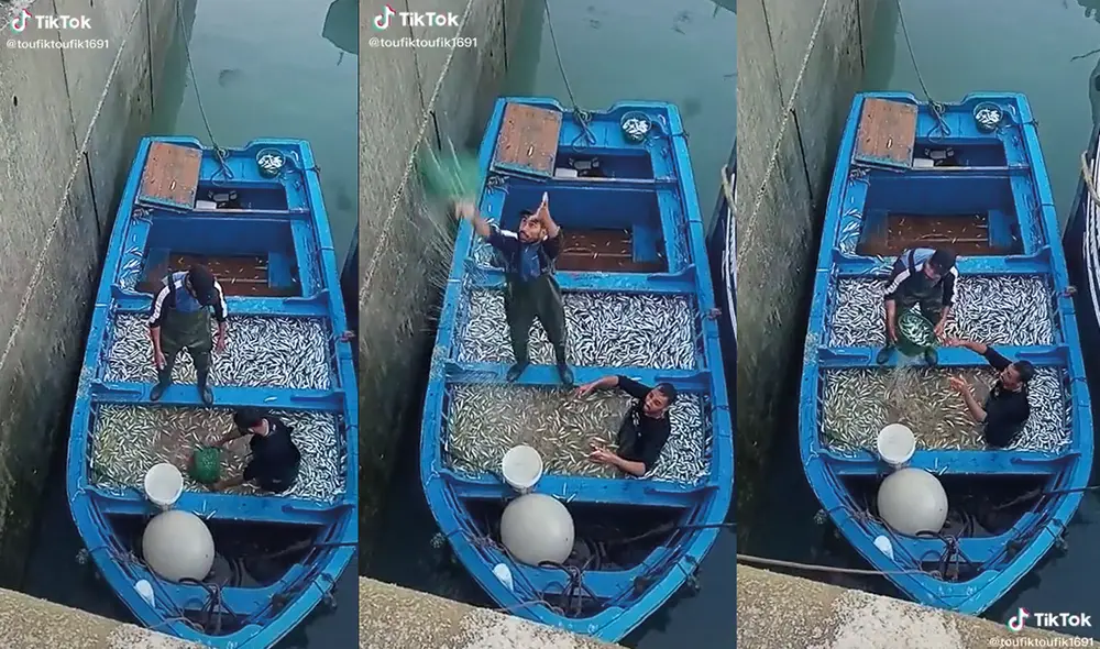 En total eran tres las personas que estaban trabajando. Foto: captura de TikTok En total eran tres las personas que estaban trabajando. Foto: captura de TikTok