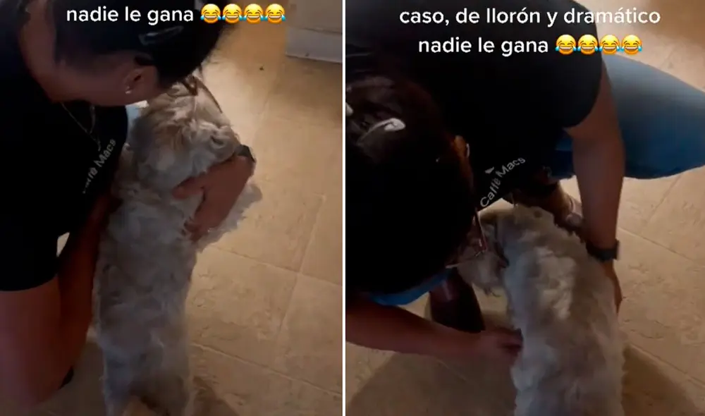 Las imágenes han conseguido miles de reproducciones, además de divertidos comentarios. Foto: captura de TikTok