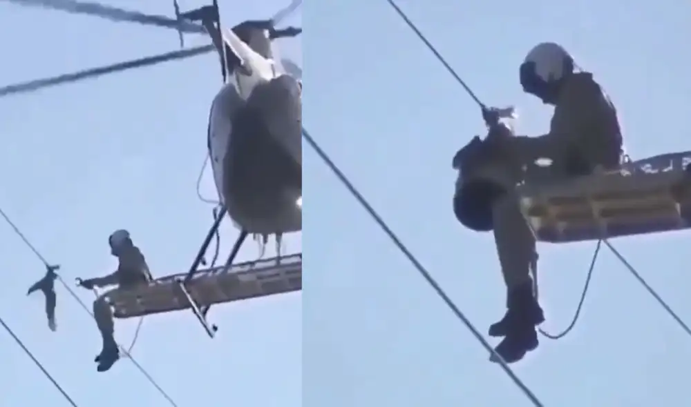 El impresionante rescate de un ave que quedó atrapada en un cable de alta tensión. Foto: captura de TikTok.