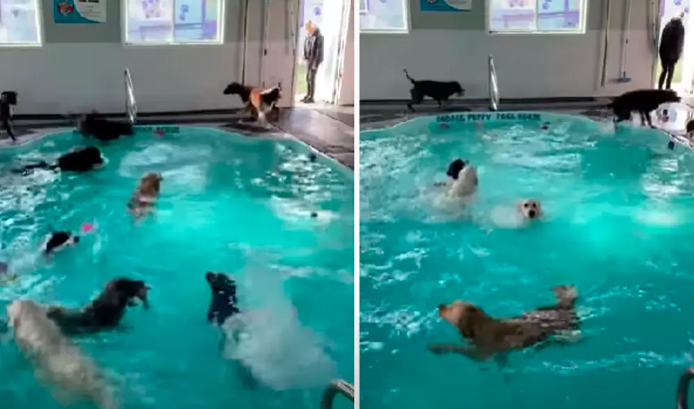 El video ha sido publicado en la página ViralHog. Foto: captura de Facebook El video ha sido publicado en la página ViralHog. Foto: captura de Facebook