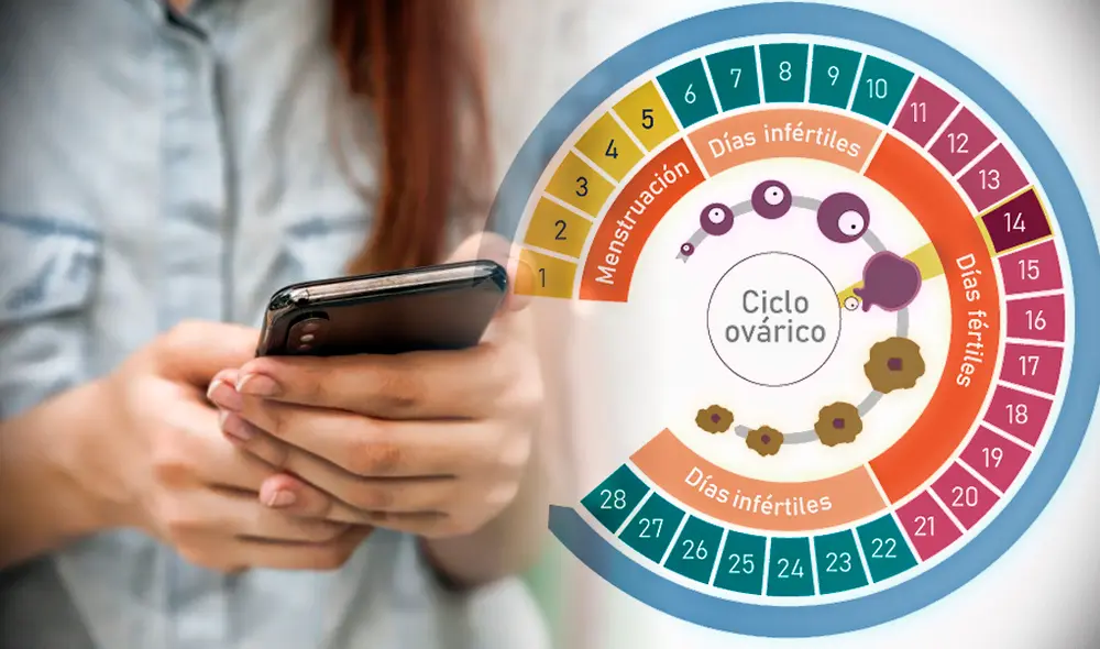 Aprovecha la tecnología y descarga estas aplicaciones para registrar tu proceso menstrual. Foto: composición LR Aprovecha la tecnología y descarga estas aplicaciones para registrar tu proceso menstrual. Foto: composición LR