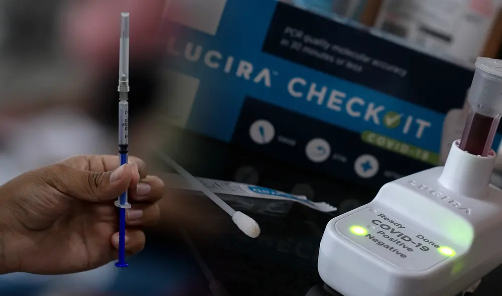 El hecho generó indignación en las autoridades de Países Bajos, que ya están investigando el caso. Foto: composición/AFP